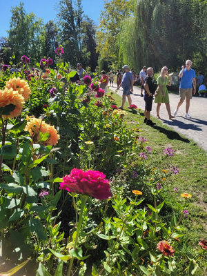 Herbstblumen und Besucher auf der Landesgartenschau Schärding