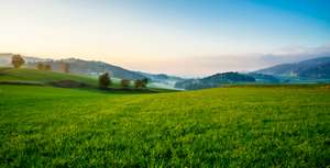 grass-gd4e7016ad_1920-pixabay.jpg