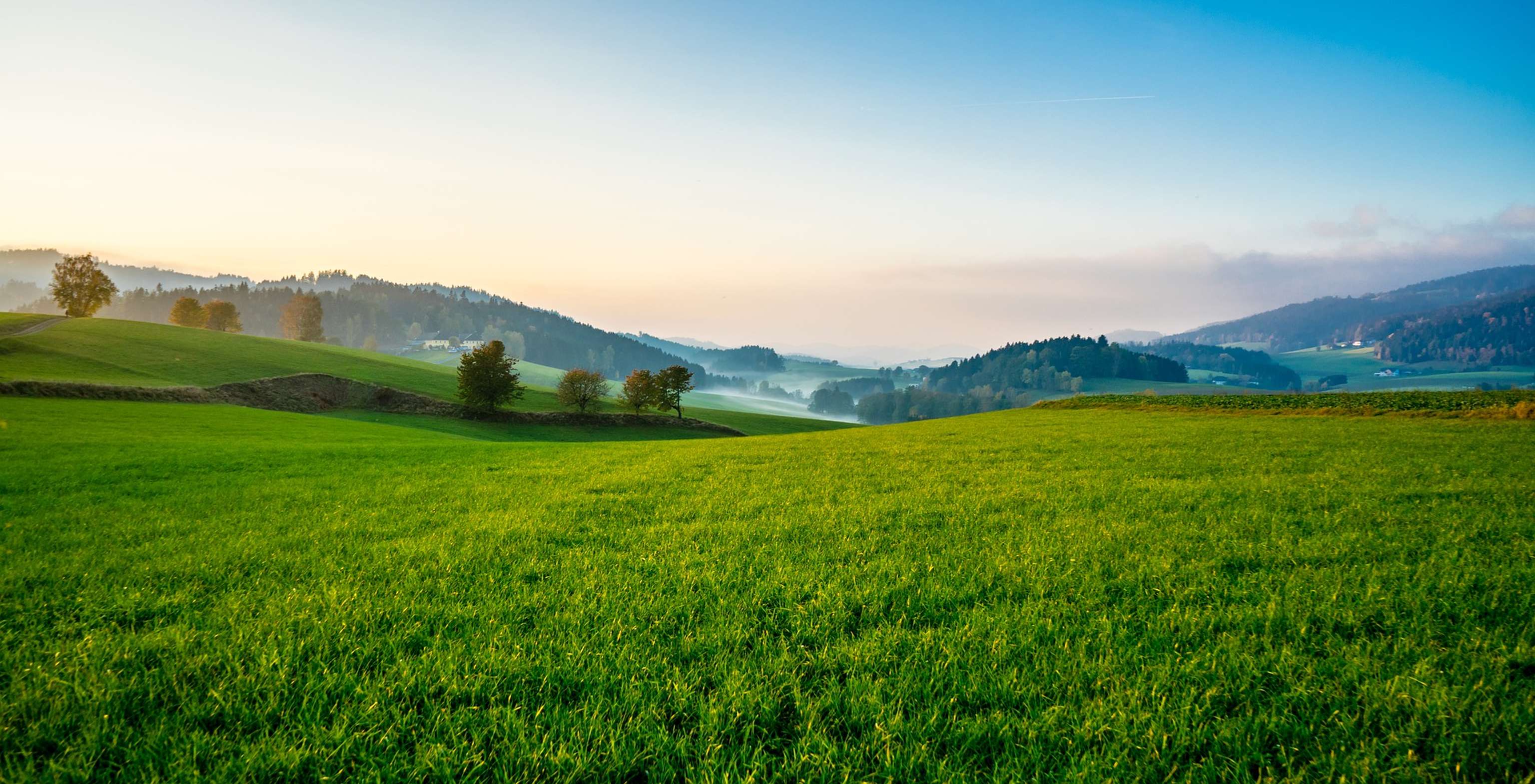 grass-gd4e7016ad_1920-pixabay.jpg