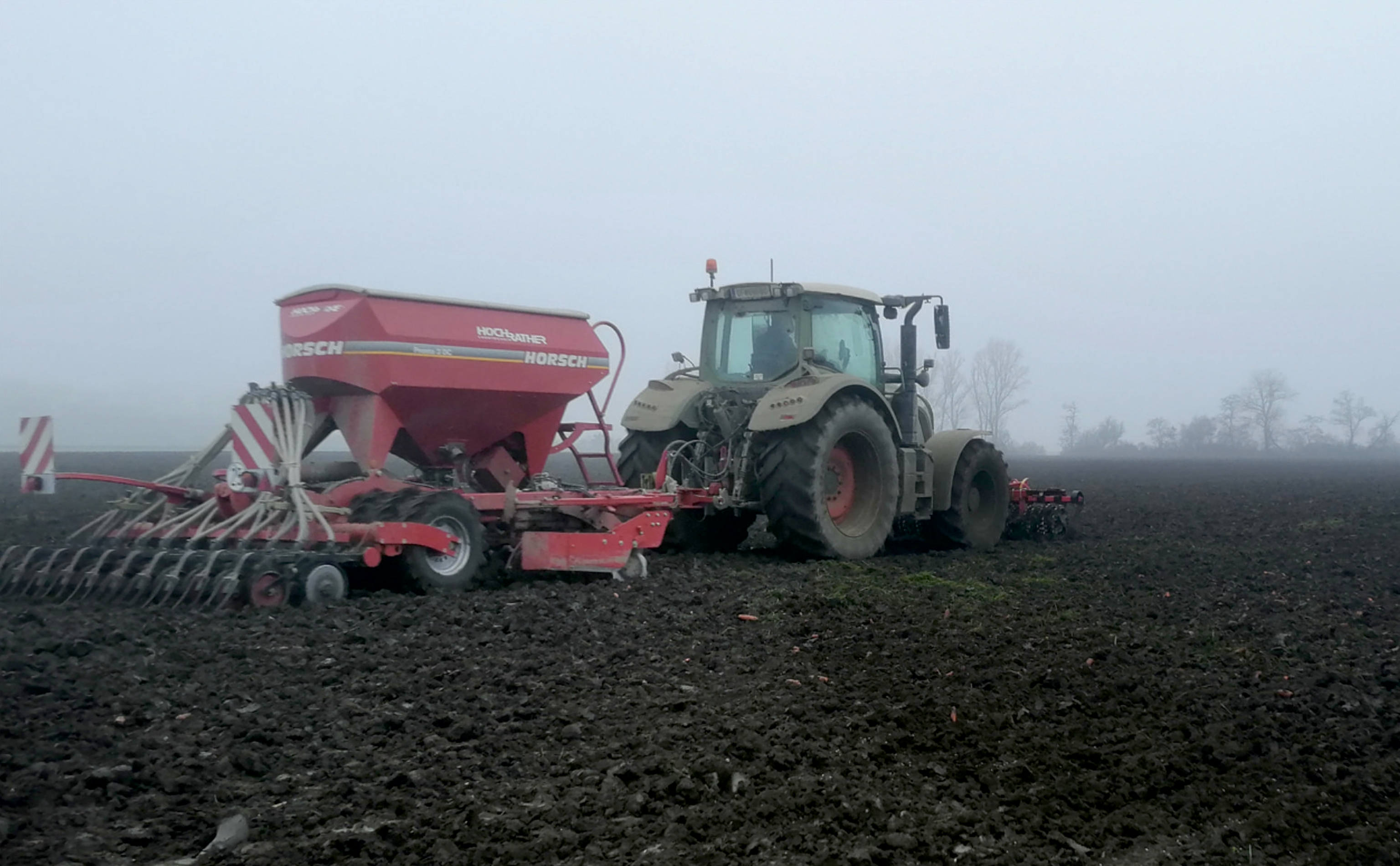 Für Spätsaaten sind Probstdorfer Sorten geeignet.