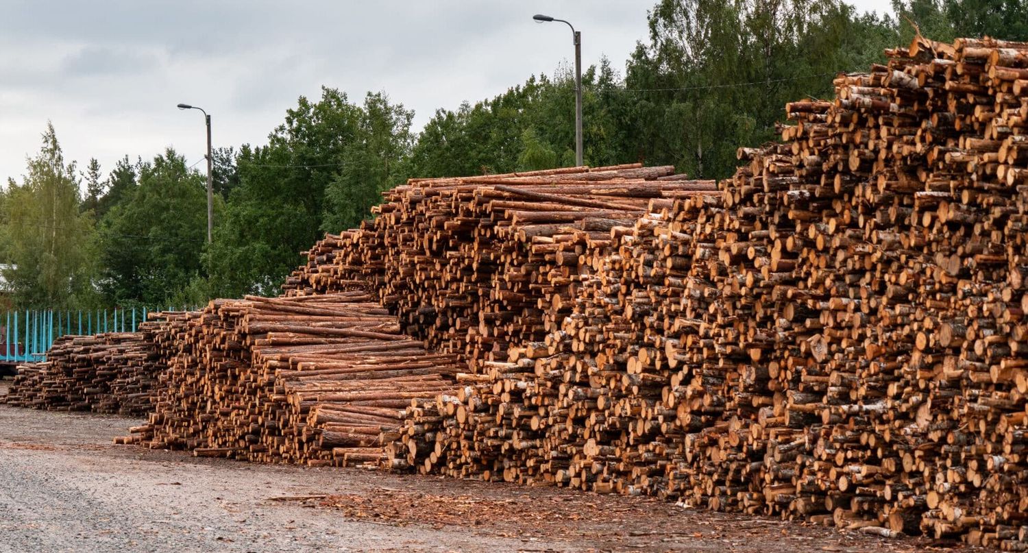 Holzlager