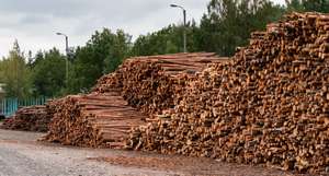 Holzlager