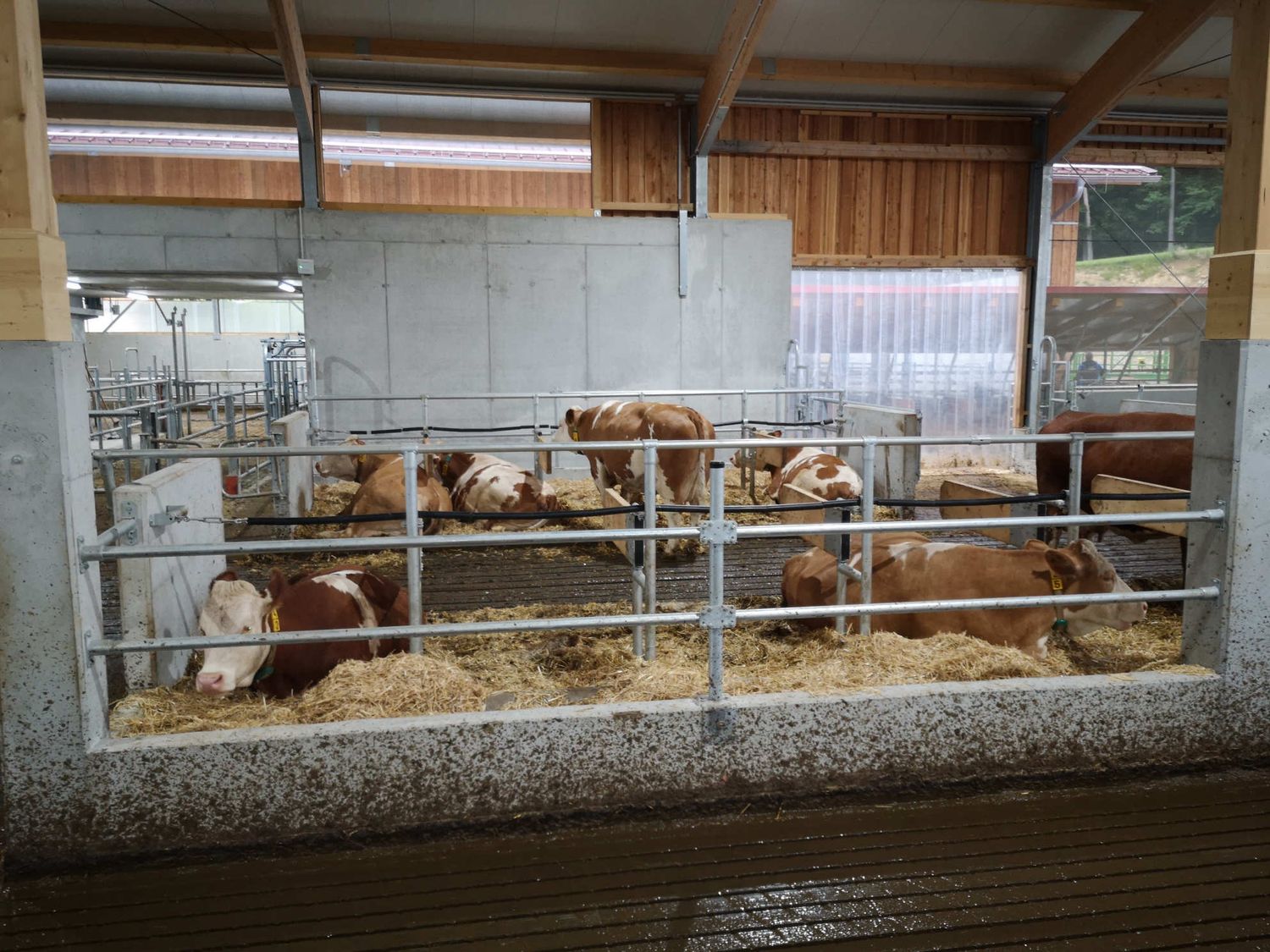 Im neuen Stall der LFS Pyhra steht das Tierwohl an oberster Stelle.