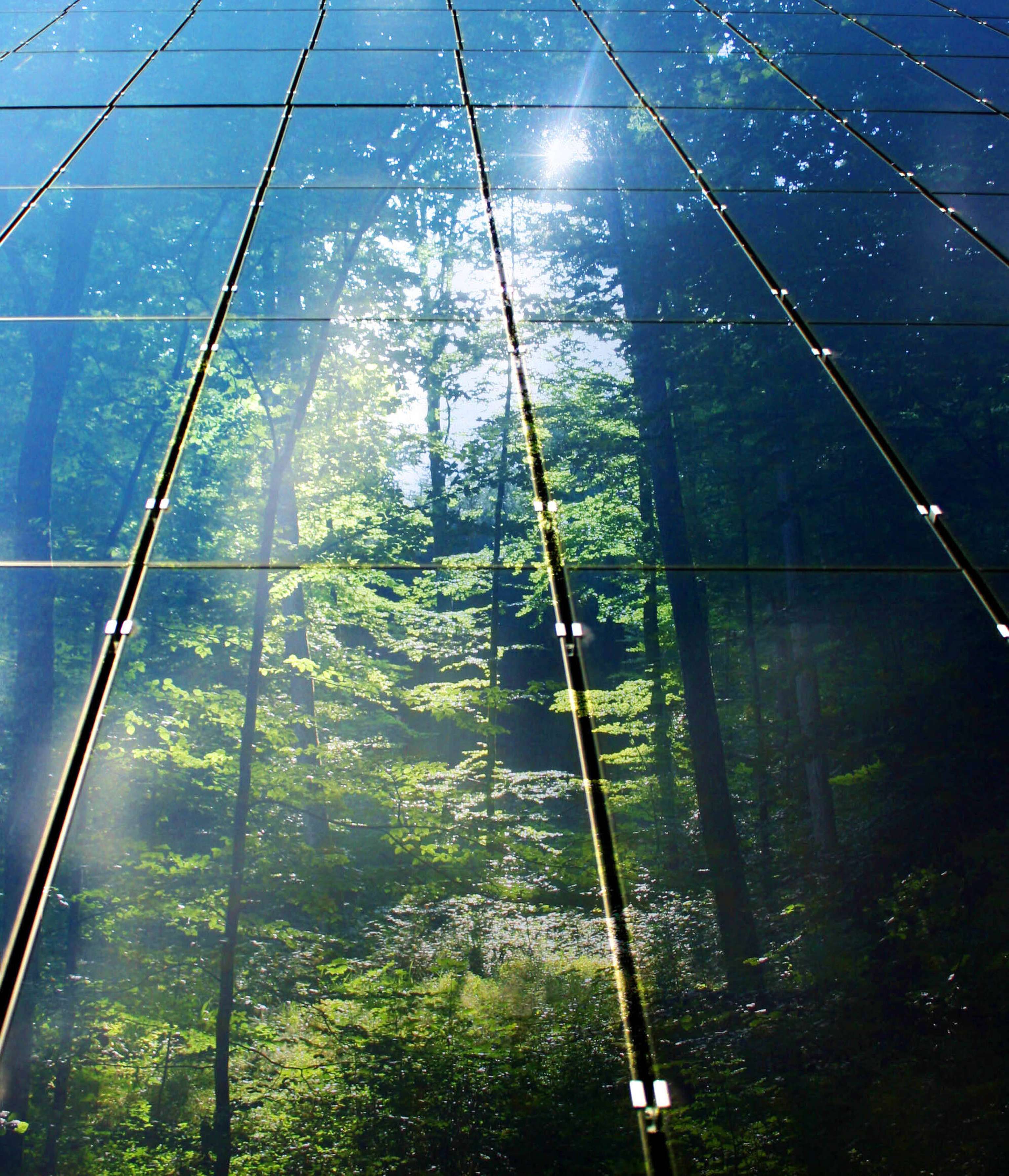 Solarzellen Mit Wald