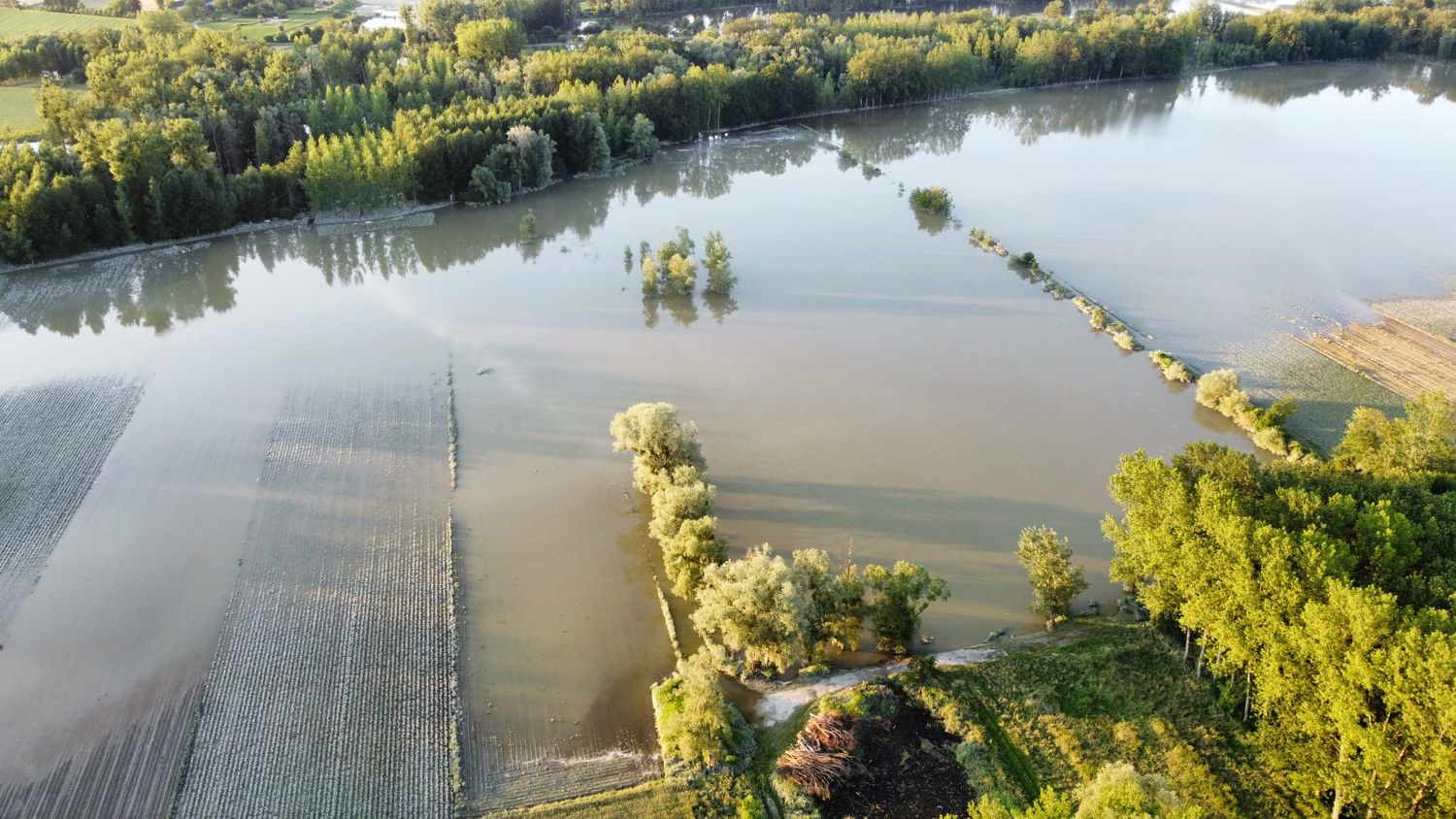 Agrarflächen unter Wasser: Bilder wie dieses gibt es seit mehr als einer Woche aus dem oberösterreichischen Machland.