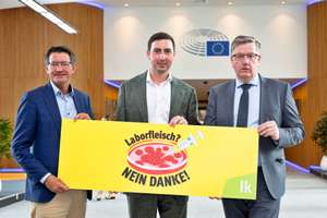 Huber/Bernhuber/Steinegger