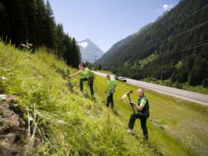 Maschinenring Naturraumservice Rekultivierung Foto Martin Lugger 0292
