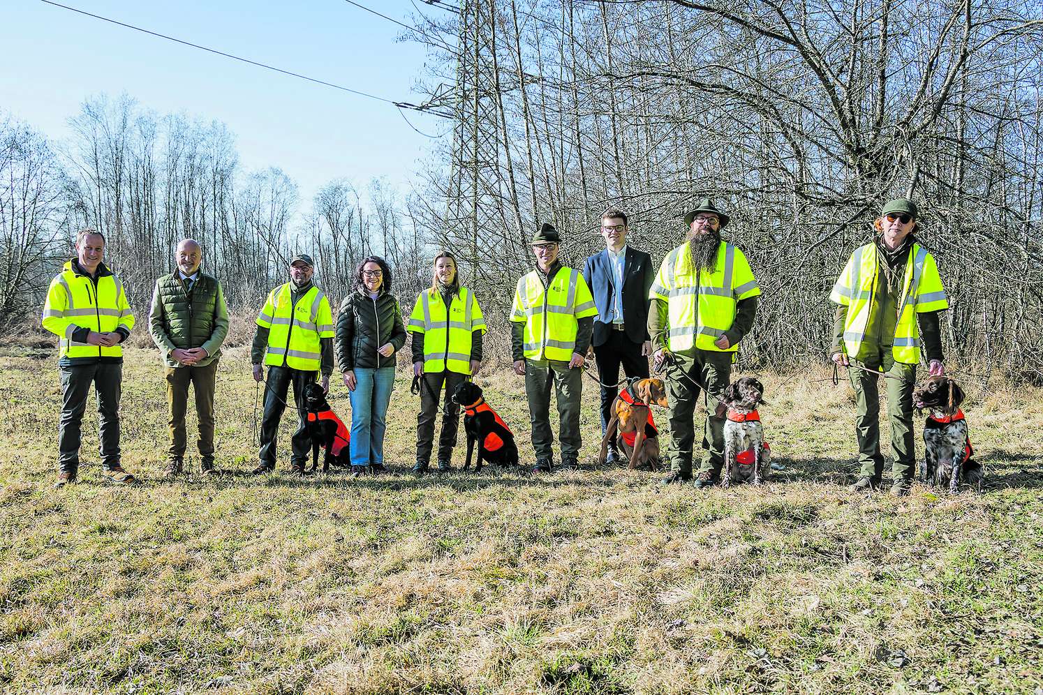 Die ersten Suchhunde zur Prävention der Afrikanischen Schweinepest wurden in der Antheringer Au ausgebildet.