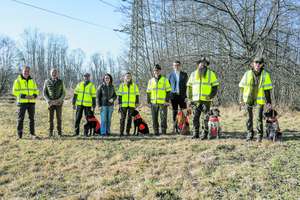 Die ersten Suchhunde zur Prävention der Afrikanischen Schweinepest wurden in der Antheringer Au ausgebildet.