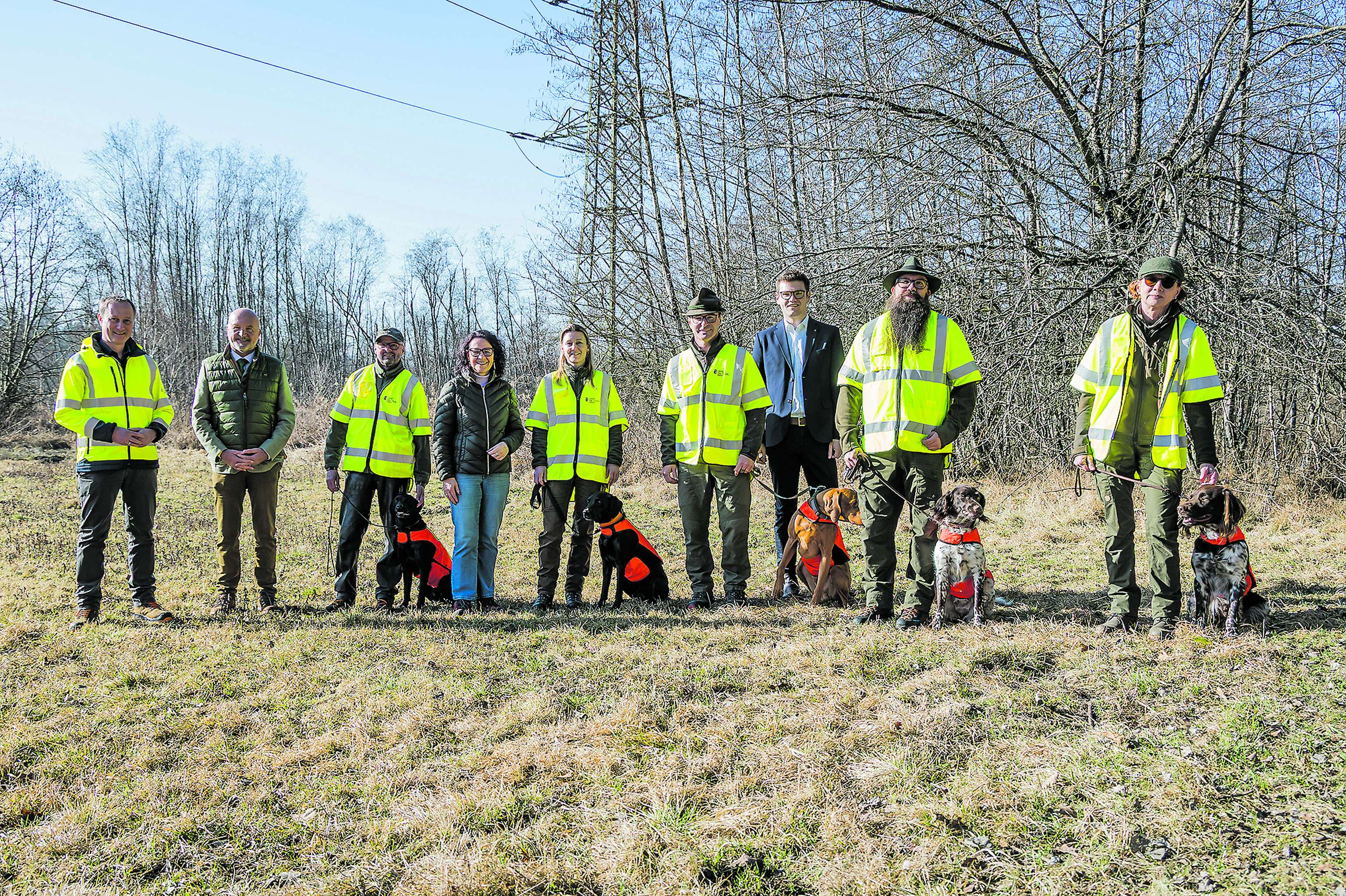 Die ersten Suchhunde zur Prävention der Afrikanischen Schweinepest wurden in der Antheringer Au ausgebildet.