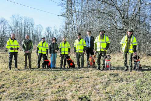 Die ersten Suchhunde zur Prävention der Afrikanischen Schweinepest wurden in der Antheringer Au ausgebildet.