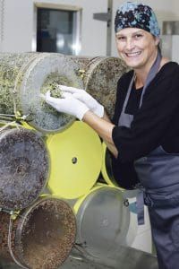 An die Sprossen, die Maria mit viel Liebe züchtet, kommt nur Luft und Wasser.