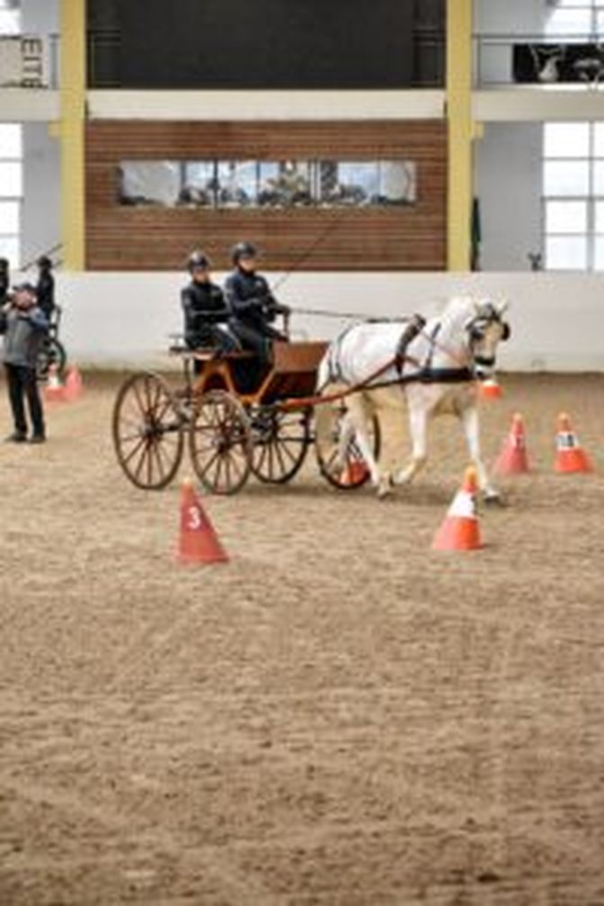 Volle Konzentration beim Kegelfahren.