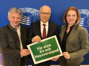 Seitinger In Brüssel