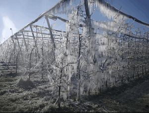 Frostberegnung