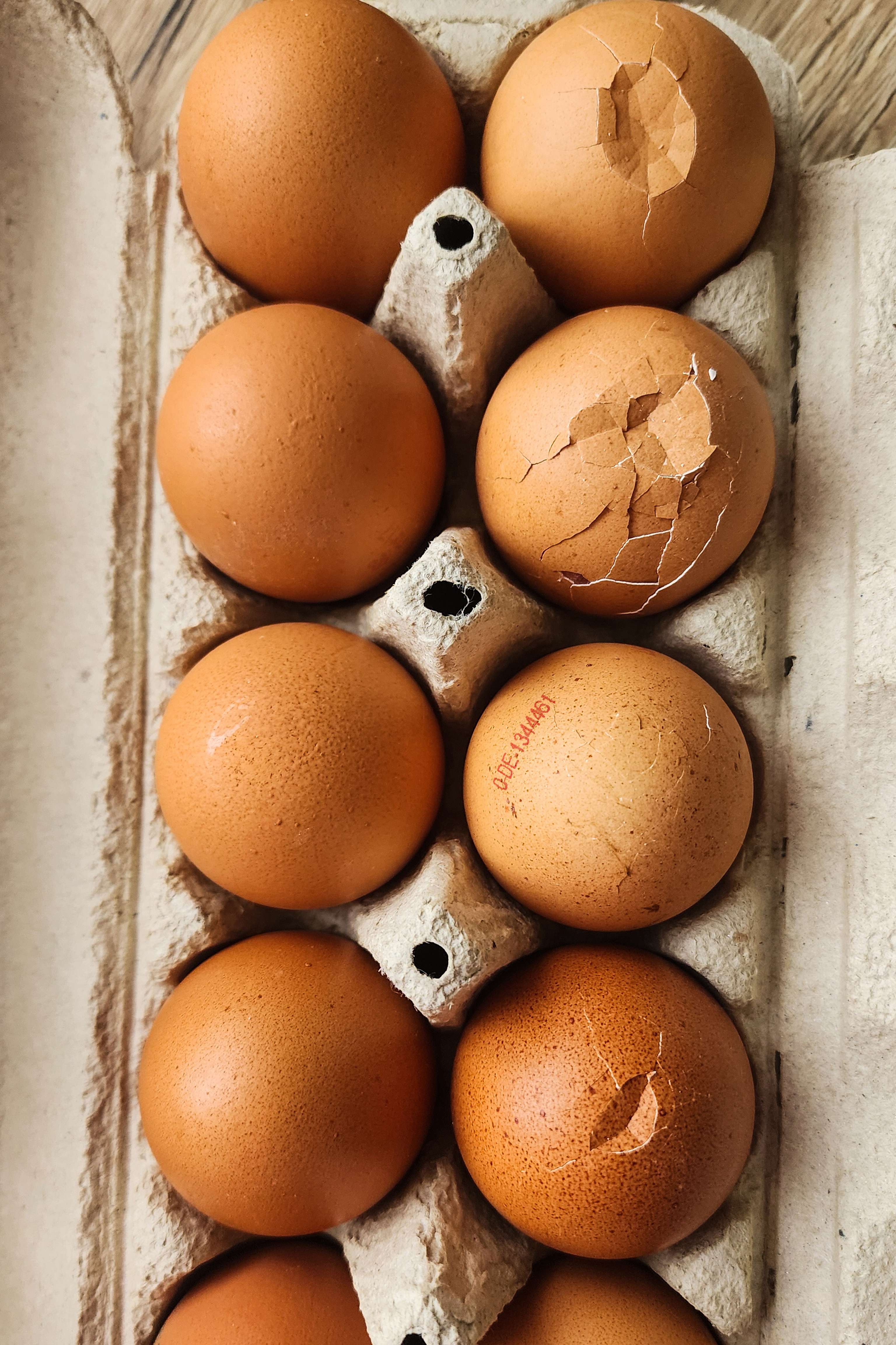 Eier