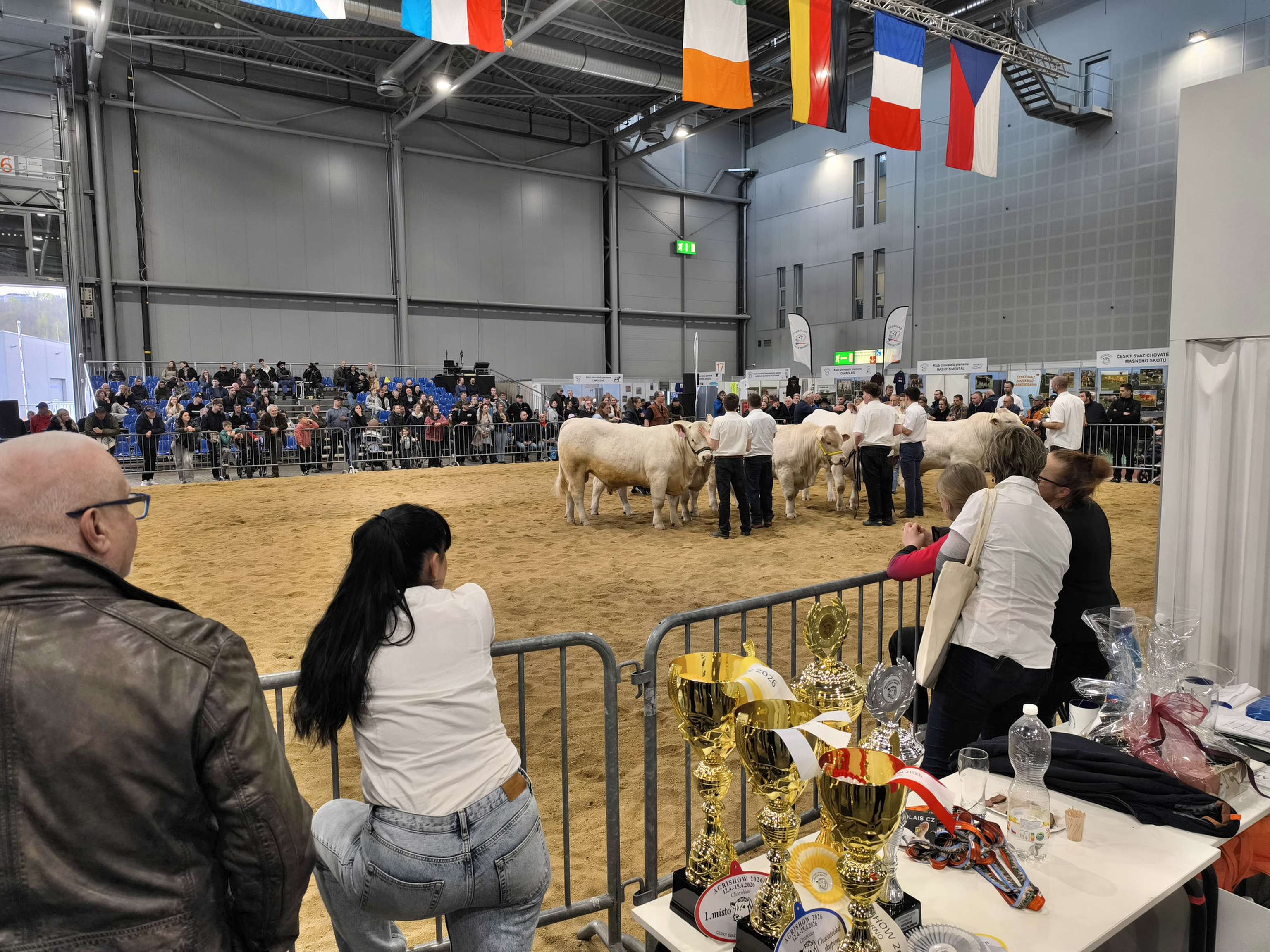 Charolais-Prämierung