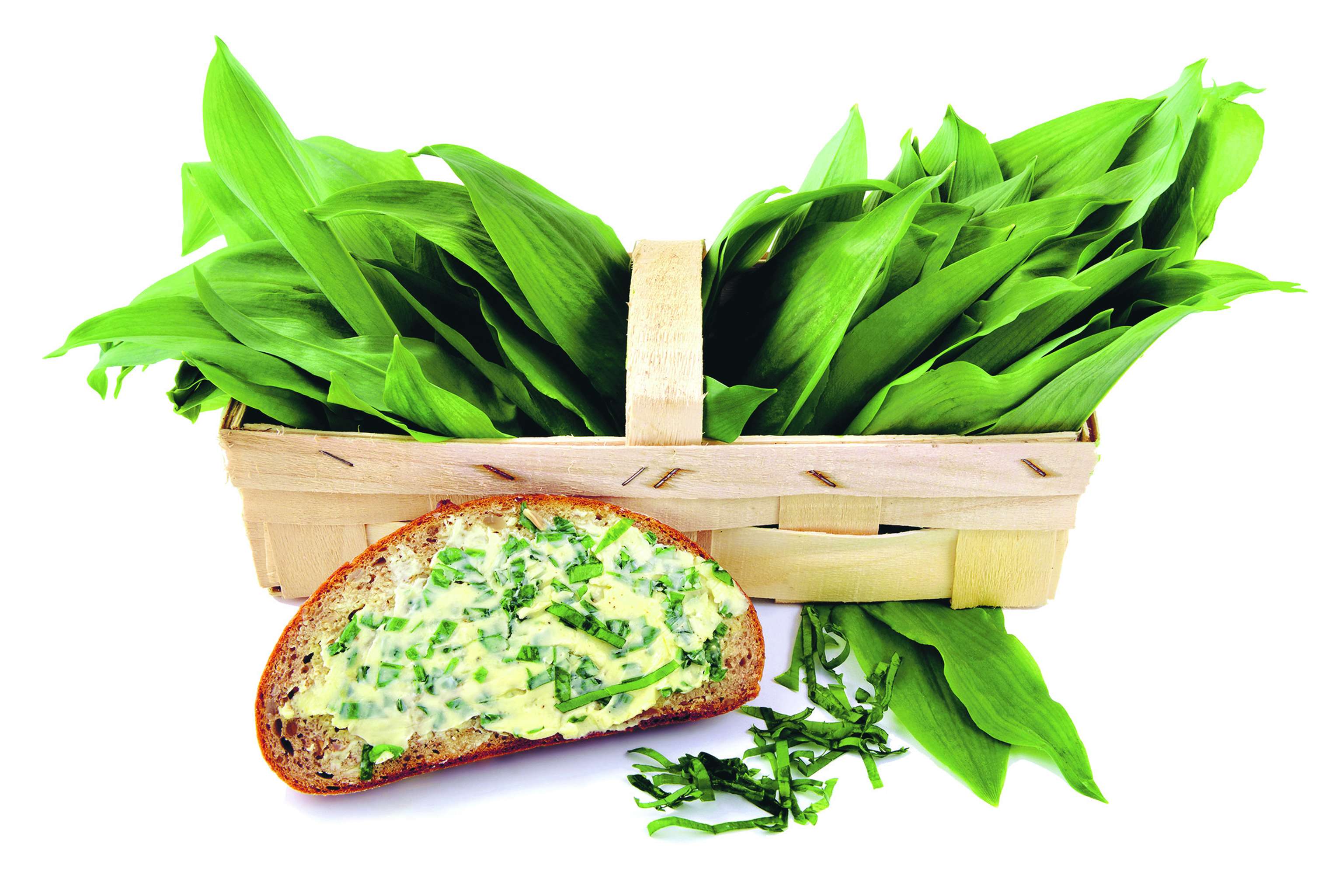 Basket Of Wild Garlic. Slice Of Bread With Garlic Butter