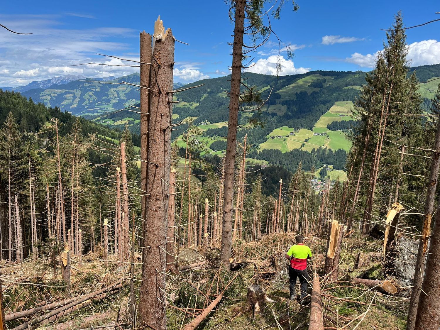 Sturm und Hagel haben unter anderem in der Kelchsau große Waldschäden angerichtet.