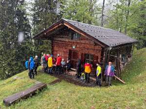 Bergwaldprojekt