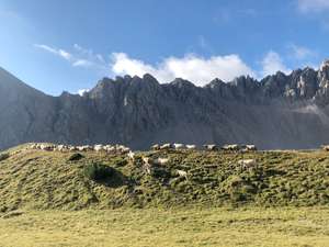 WhatsApp Image 2024 08 26 At 17.53.06 3