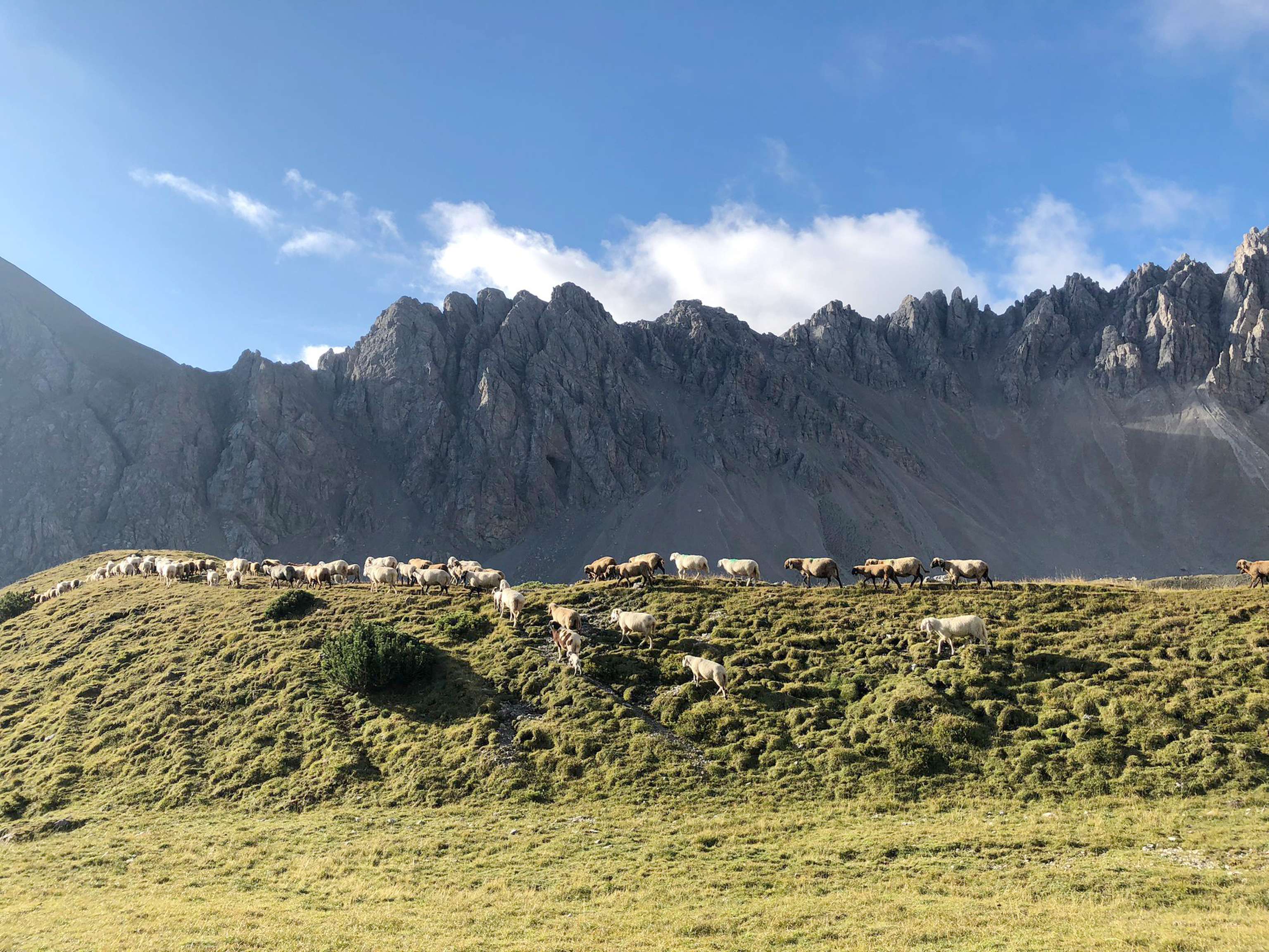 WhatsApp Image 2024 08 26 At 17.53.06 3