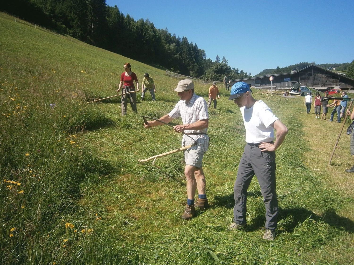 Auch für das alte traditionelle Almhandwerk gibt es Interessenten (hier ein Sensenmähkurs).