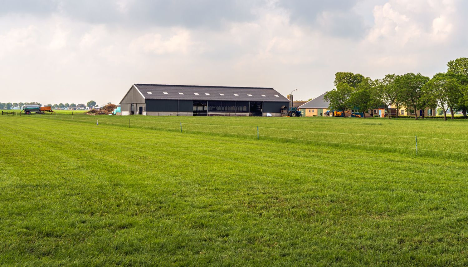 Dutch Farm