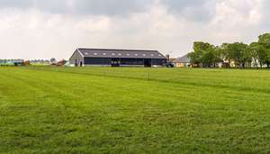 Dutch Farm
