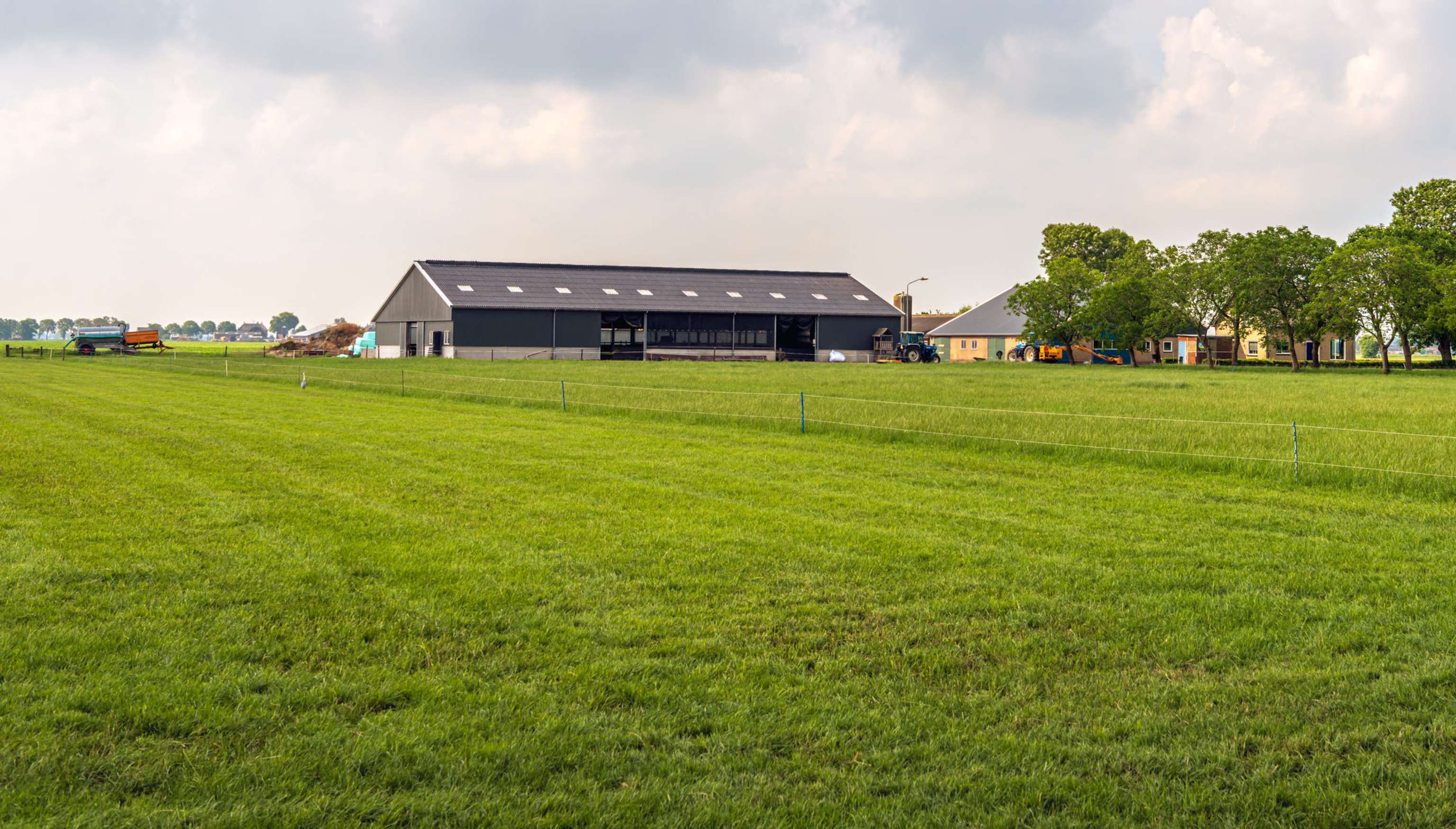 Dutch Farm