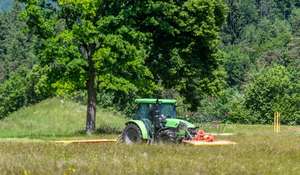 1.Schnitt Dauerwiese