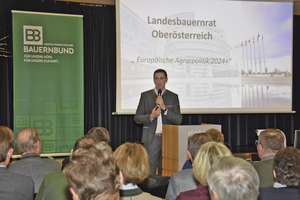 Alexander Bernhuber