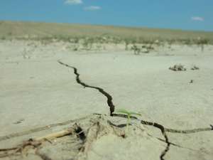 Risse im Boden