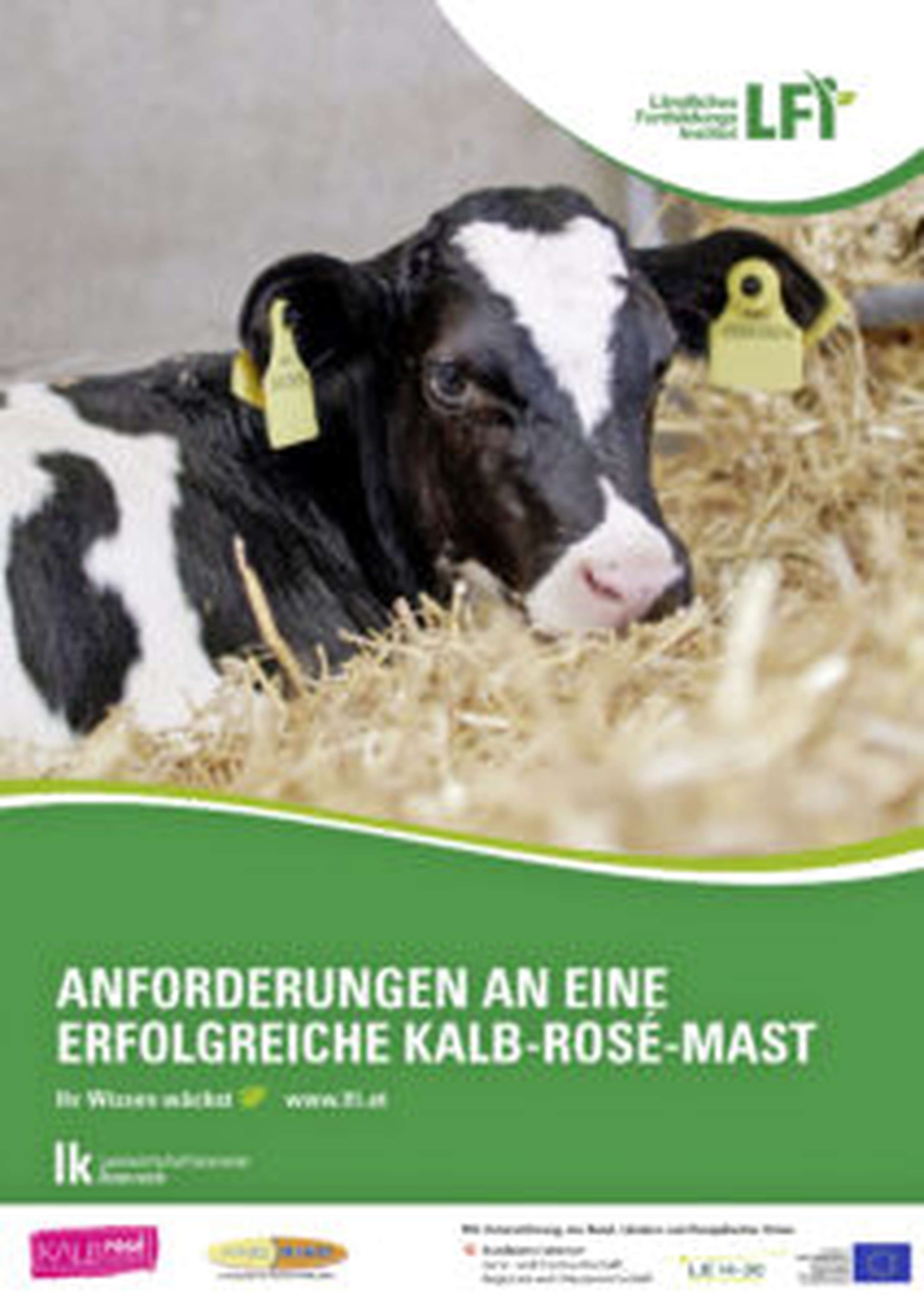 Ein Leitfaden, um in der Kalbfleischproduktion erfolgreich zu sein, das ist das Ziel der neuen Broschüre „Anforderungen an eine erfolgreiche Kalb-rosé-Mast“. Aufbauend auf den bisherigen Erfahrungen des Projektes erhalten Praktiker darin den aktuellen Stand des Programms sowie Hinweise zu Aufstallung, Kälberkauf, Haltung, Fütterung, Gesundheit und Vermarktung. Reportagen erfolgreicher Praxisbetriebe geben hilfreiche Beispiele.
