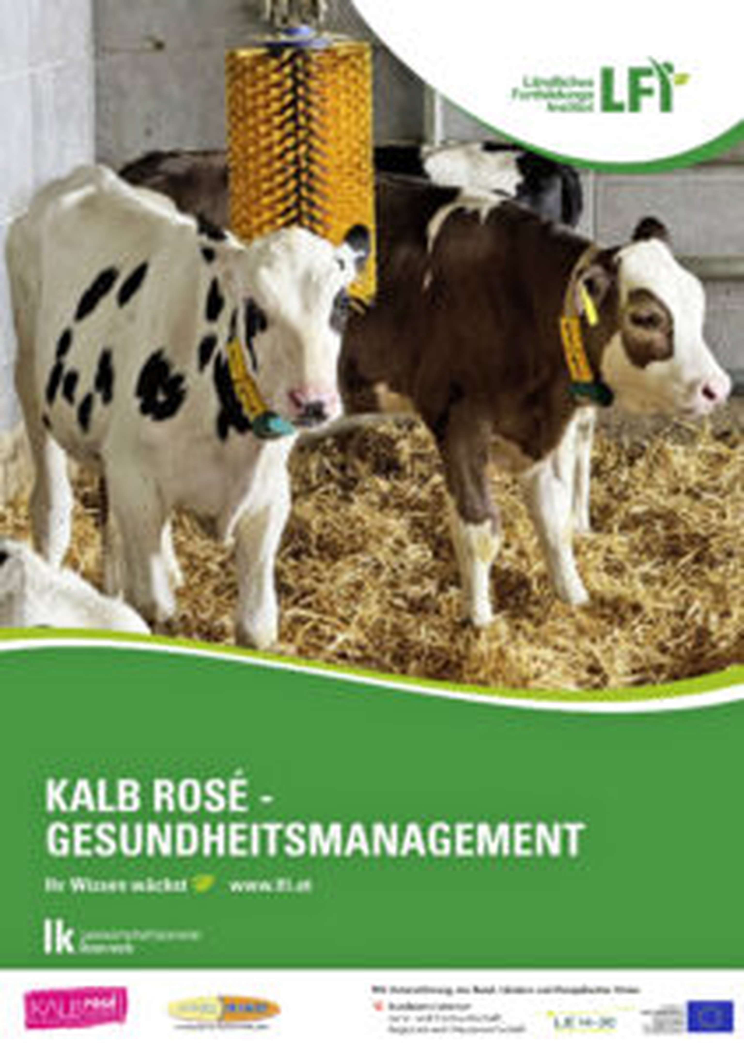 Gesundheit ist bei Kälbern das Um und Auf für gute Leistungen. Wie weit man mit Managementmaßnahmen dazu beitragen kann, erläutert die Broschüre „Kalb rosé – Gesundheitsmanagement“. Mit der Auswahl bzw. mit dem Kauf der Kälber und mit sorgfältigem Management während der ersten Lebenswochen legt man den Grundstein für gesundes Wachstum. Dazu gehören auch tierärztliche Maßnahmen, die betriebsspezifisch festzulegen sind.