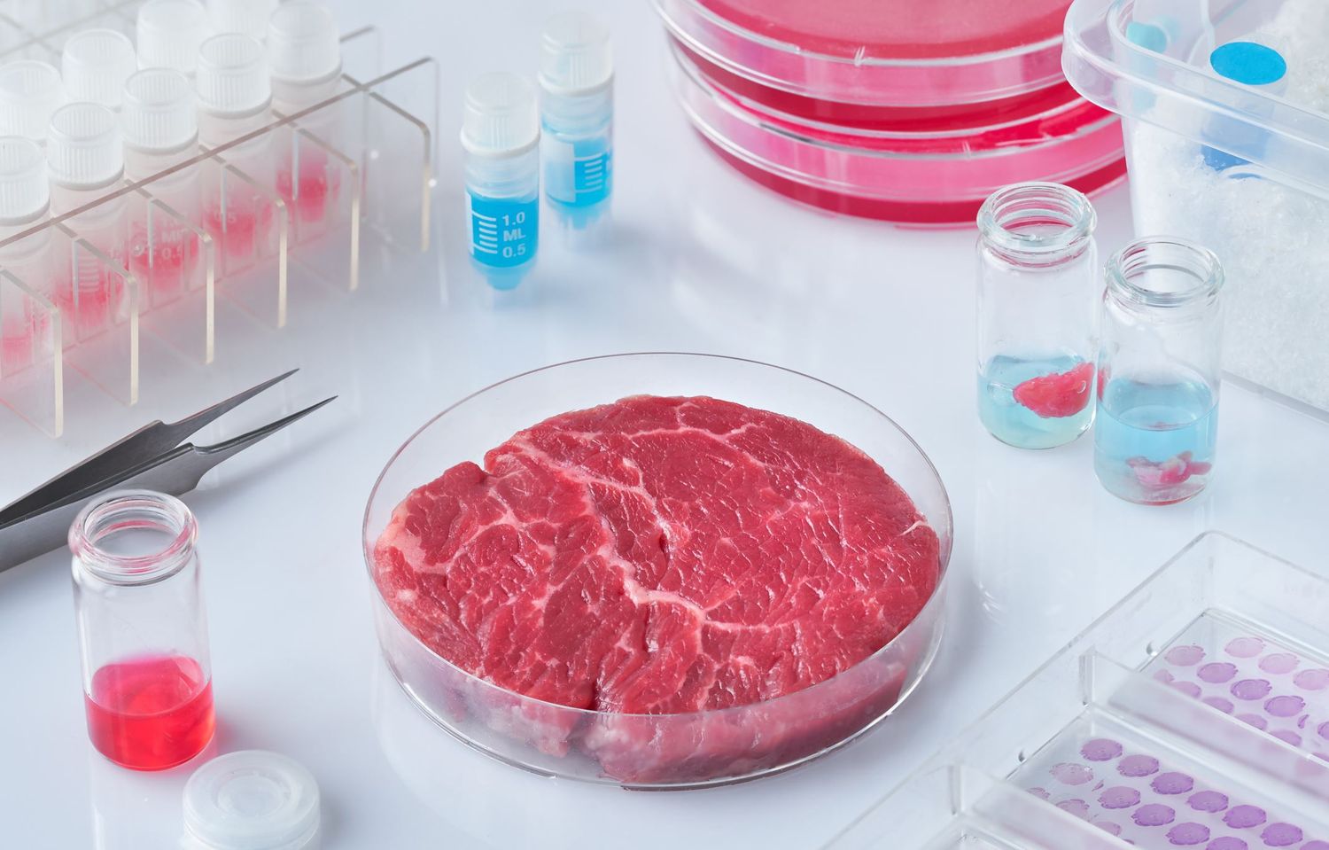 Fleisch in Petrischale