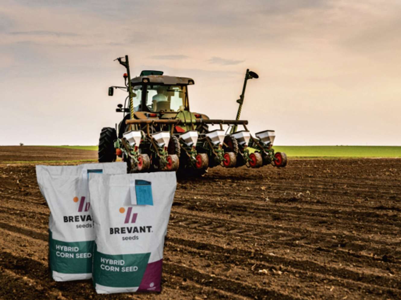 Probstdorfer Brevant