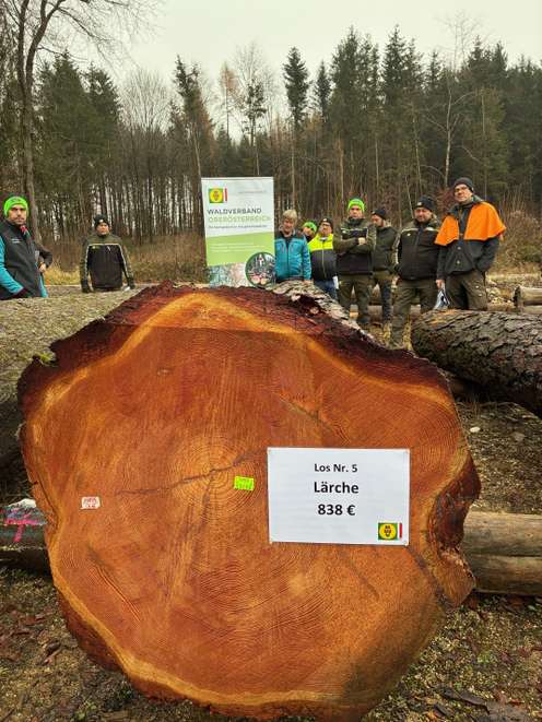 OÖ Siegerstamm 2025