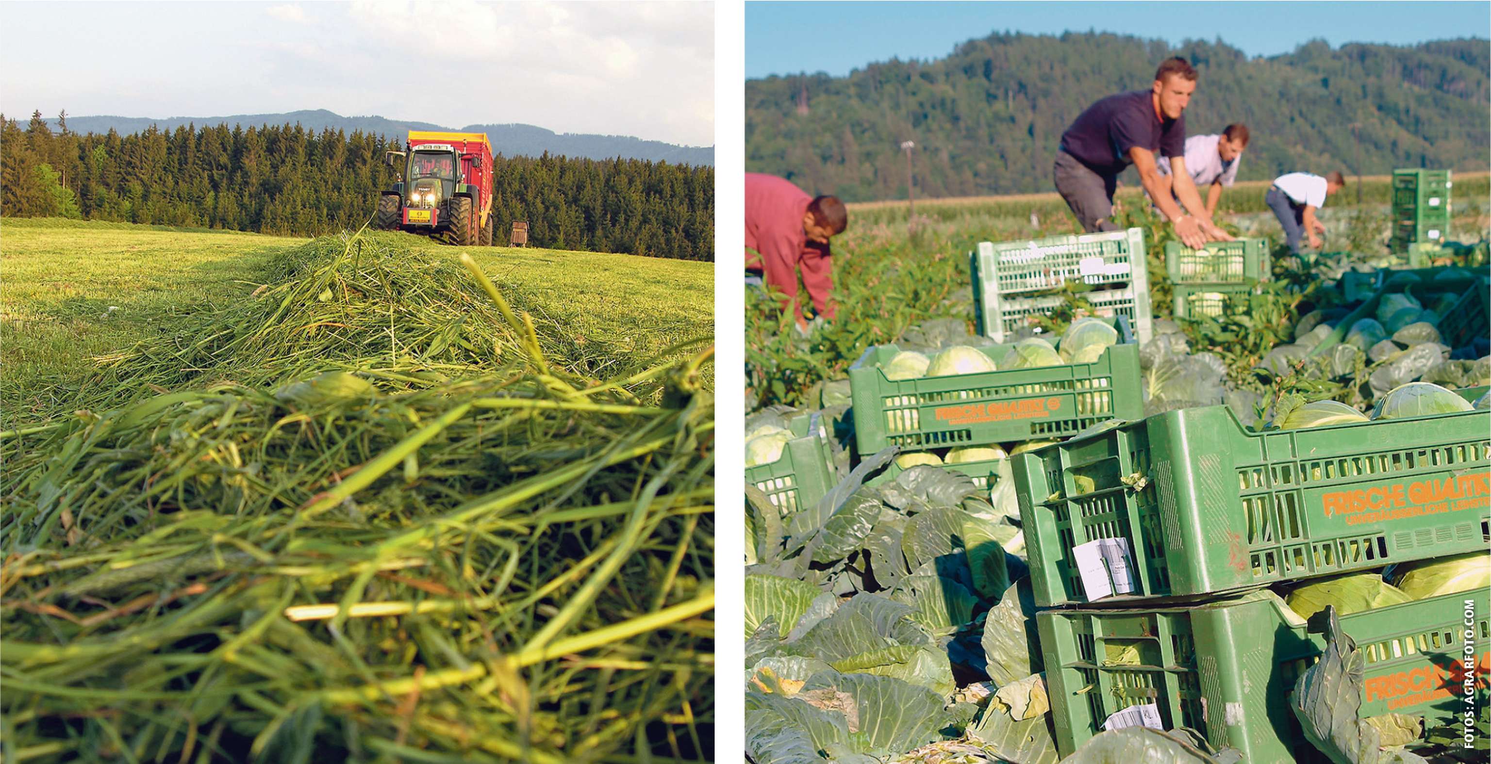 BZB OBOE 231026 010 4c