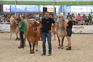Schauring AgroTier