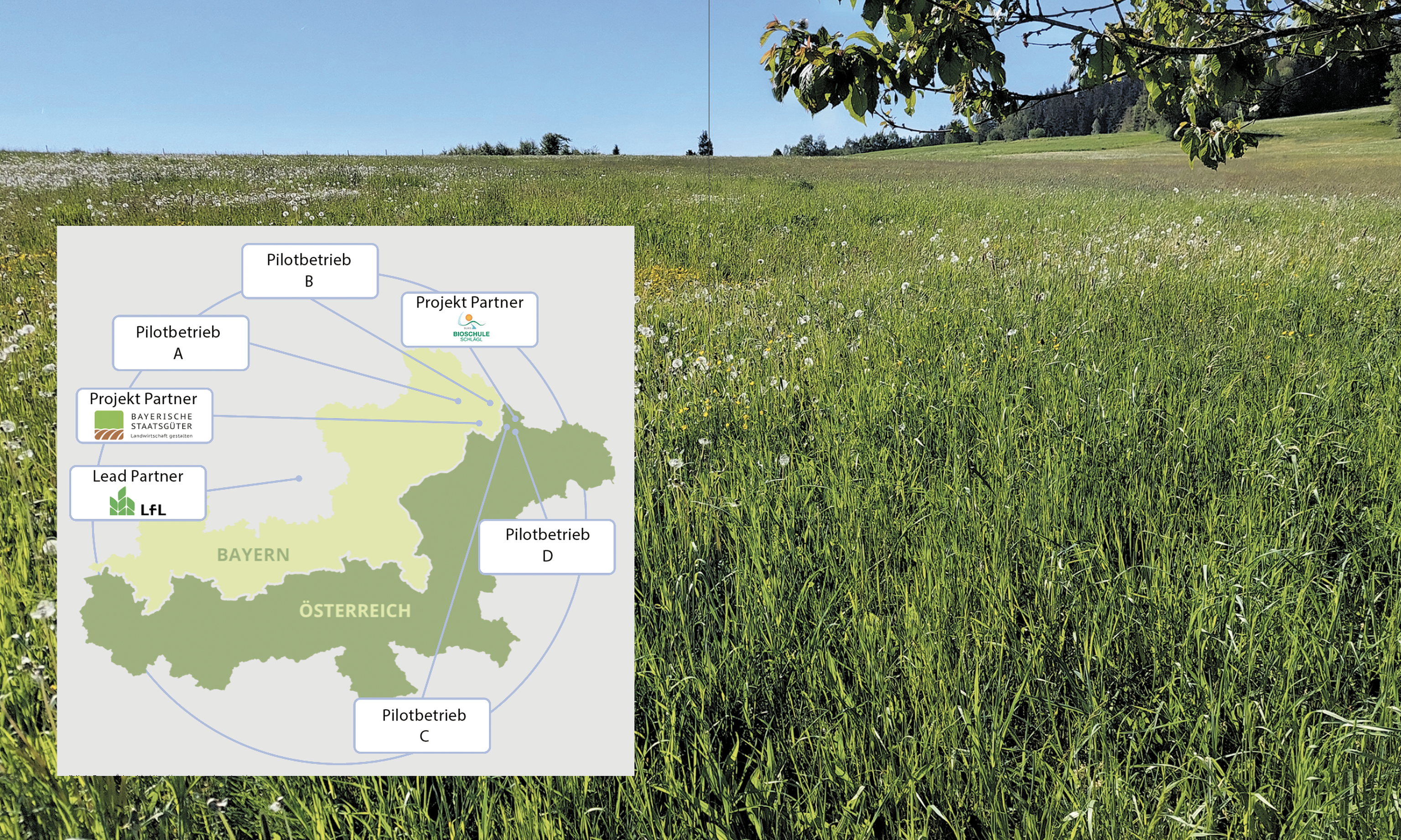 Bildschirmfoto 2025 04 29 Um 10.04.50