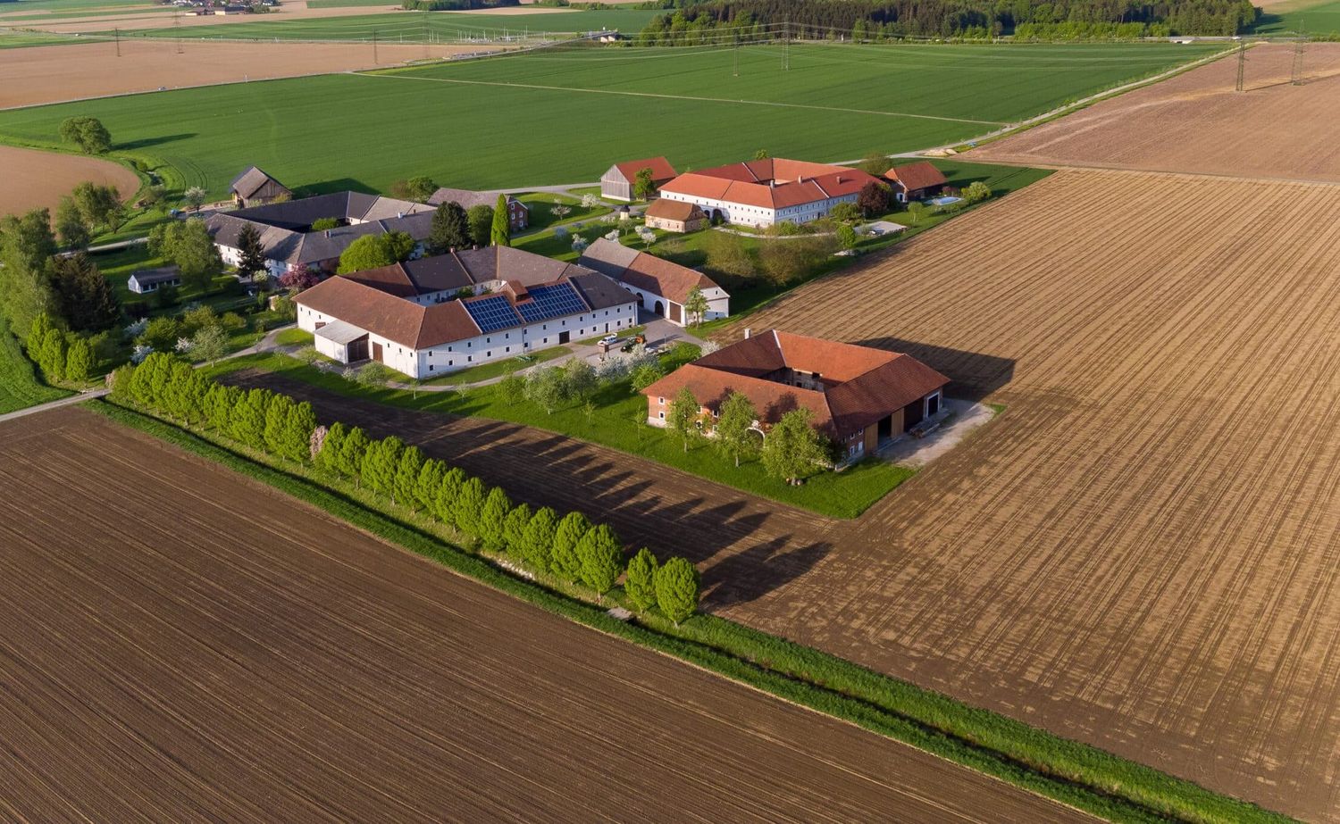 Der massive Rückgang der Erzeugerpreise für Getreide ließen die Einkommen der Ackerbauern sinken.