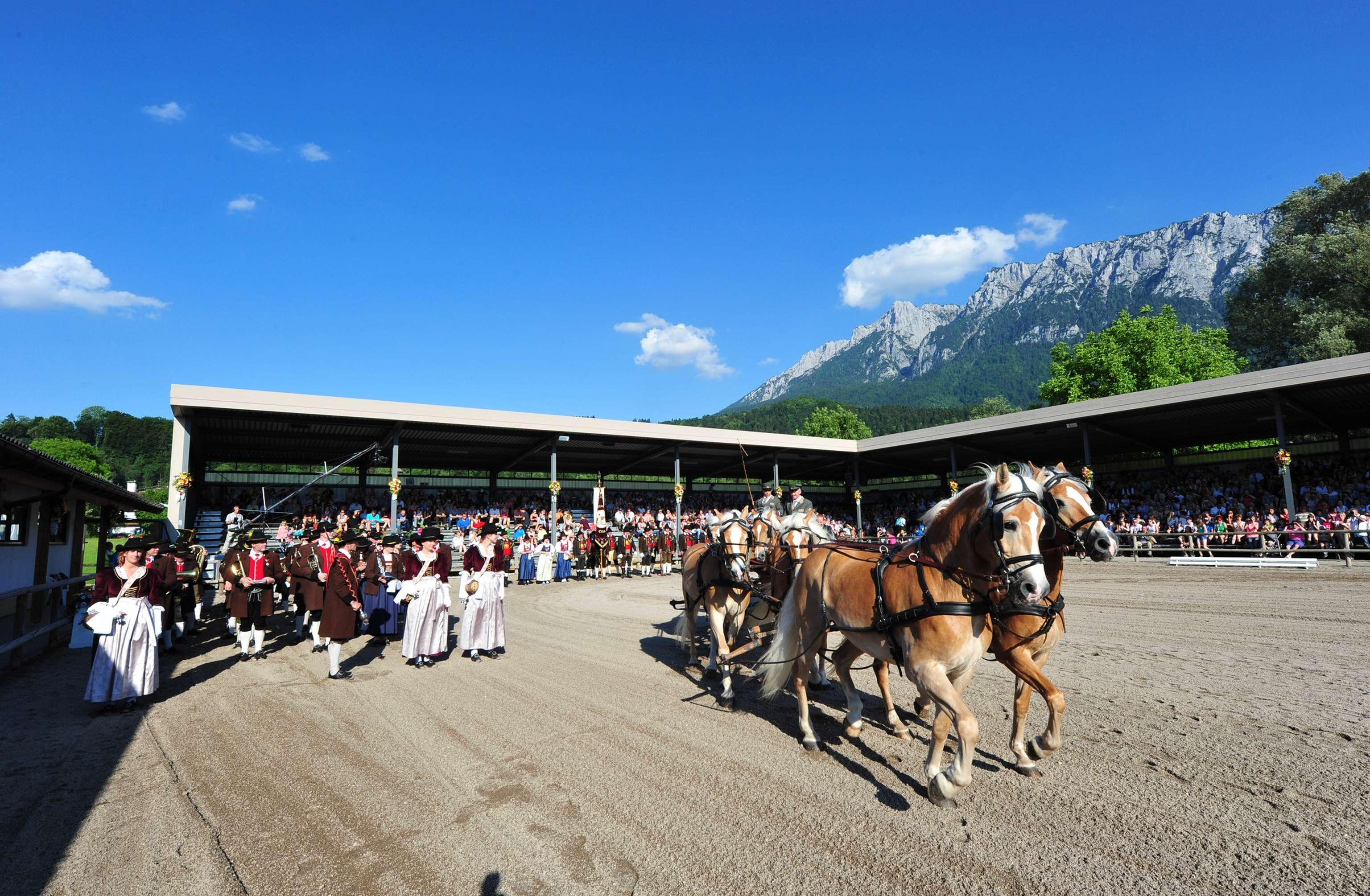 Verschiedenste Vorführungen werden präsentiert – wie das Fahren vom Ein- bis zum Sechsspänner.