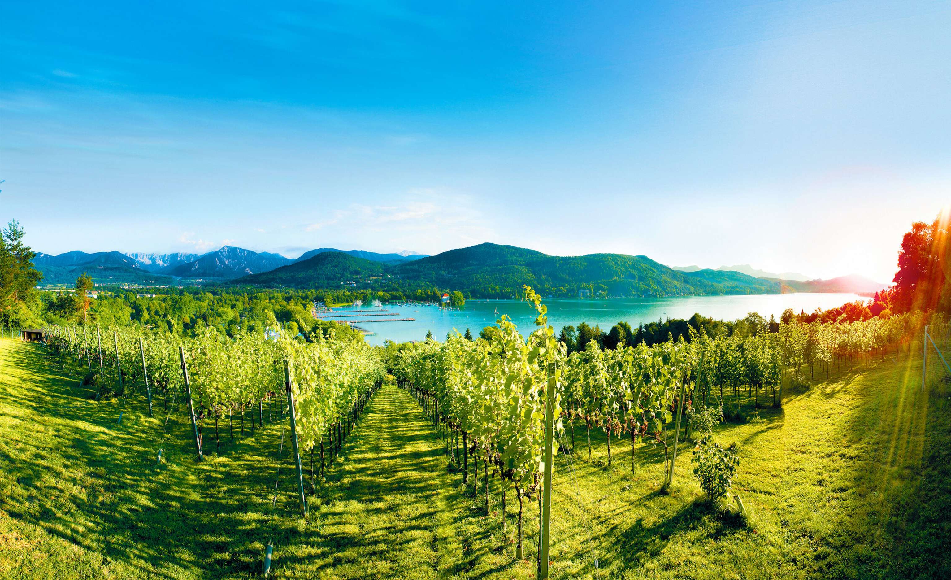 Seewiese Klagenfurt