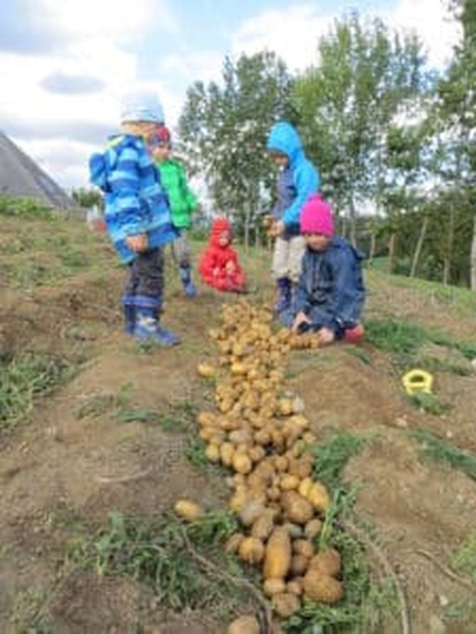 Die „Franzis“: Landwirtschaft nicht nur im Bilderbuch erleben