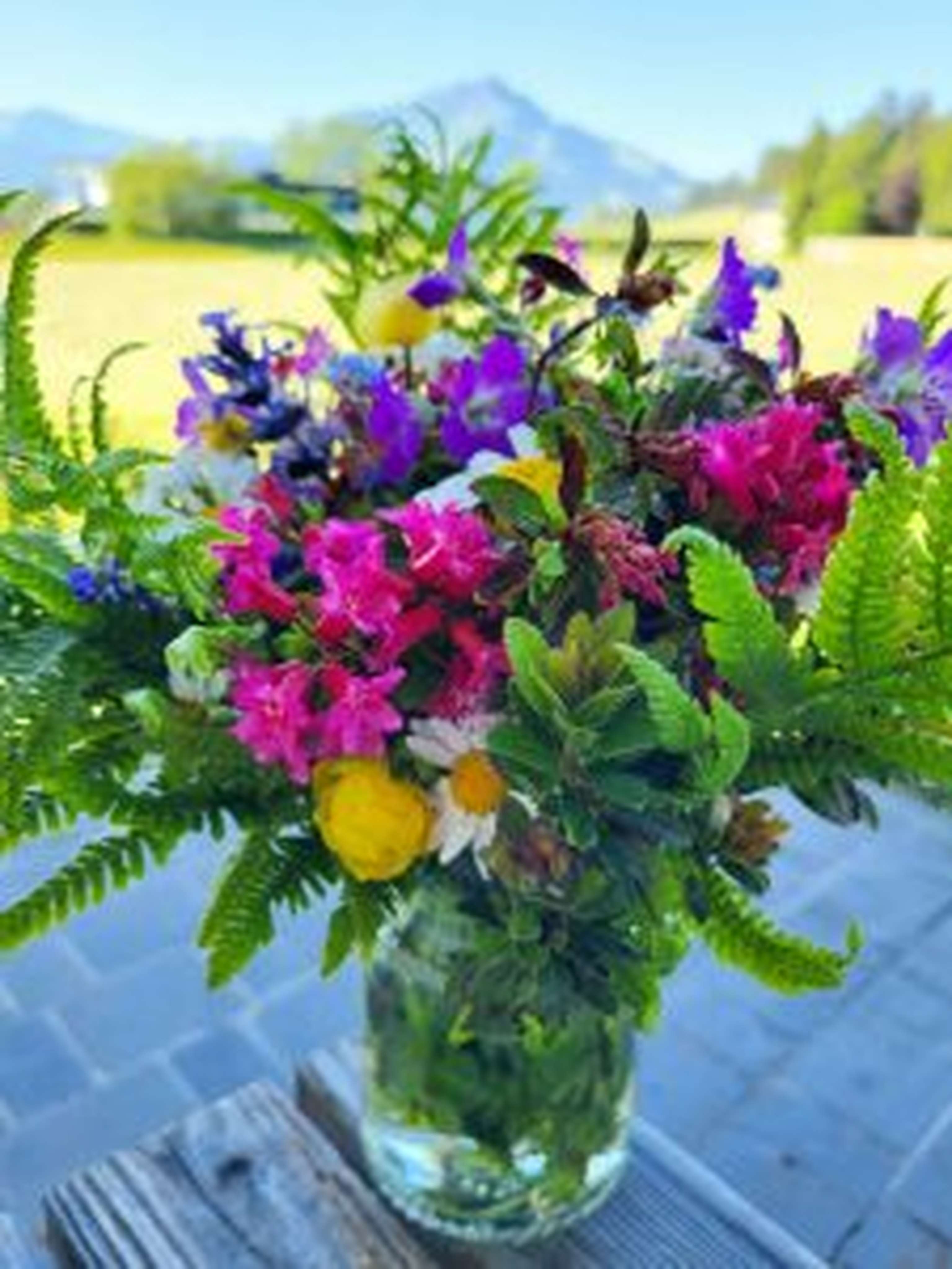 Alpenblumengruß von Helga Brunschmid zum Auftakt der Almserie 2022.