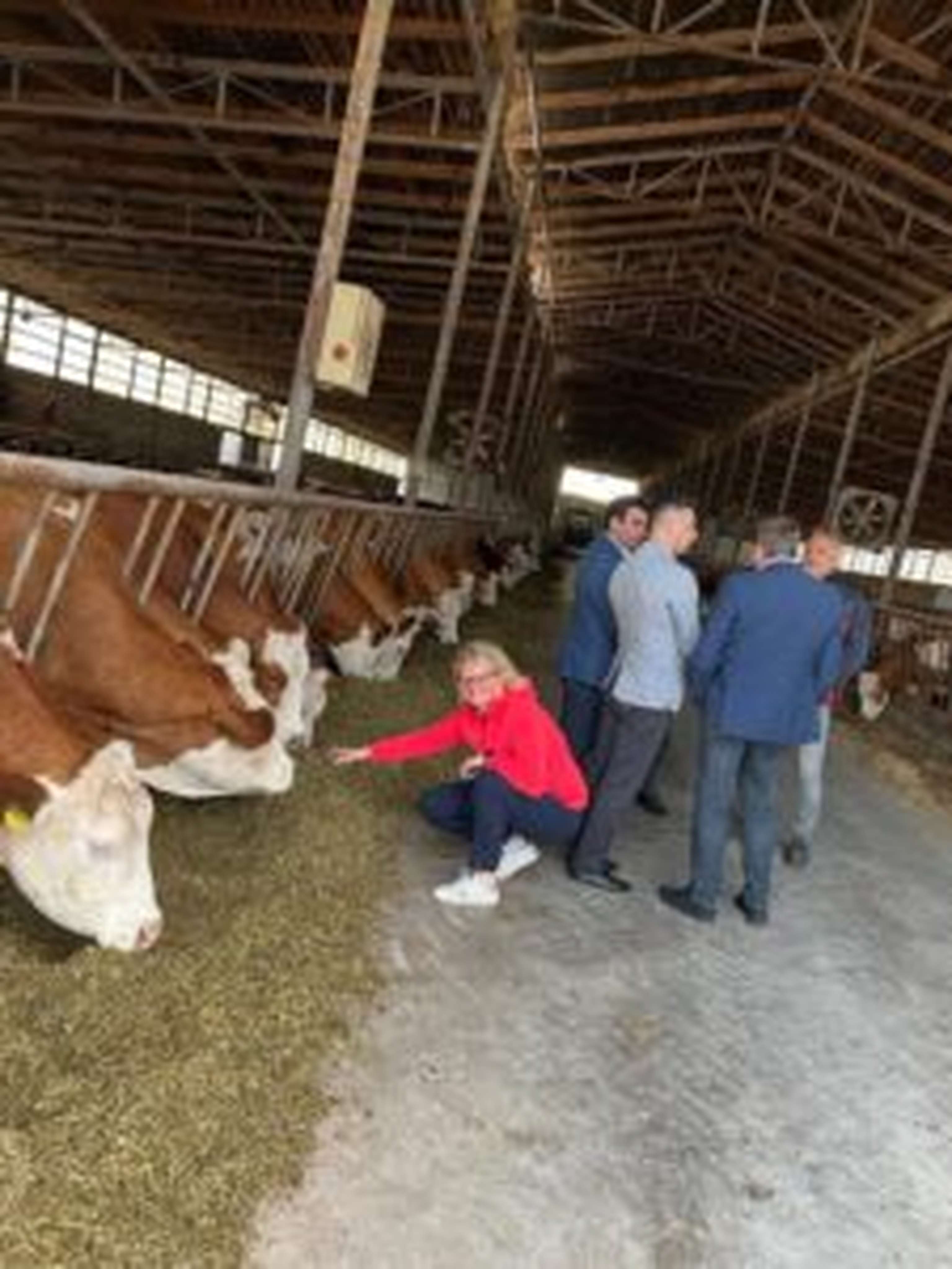Betriebsbesuch in Aserbaidschan
