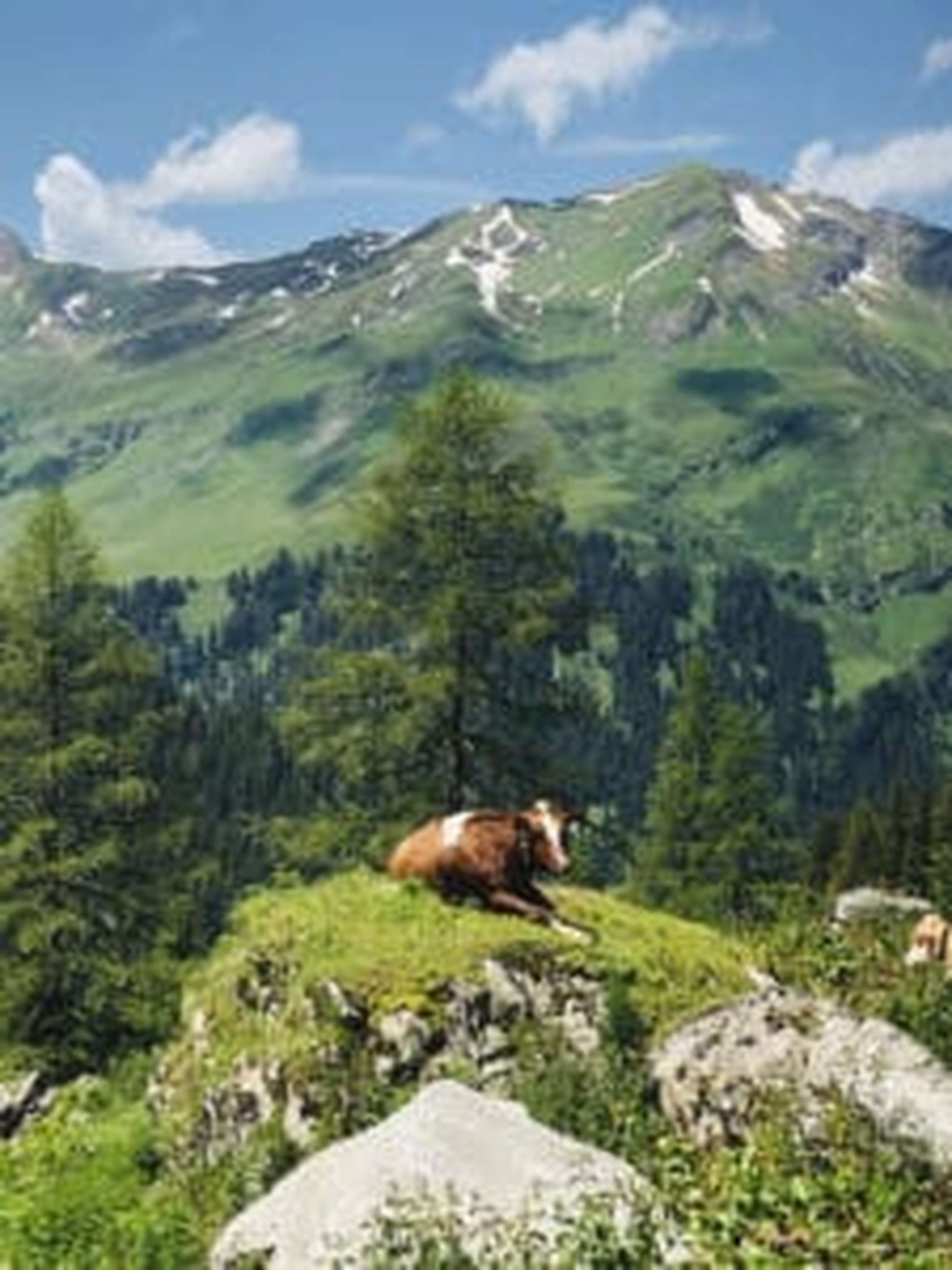 Ein malerisches Platzl