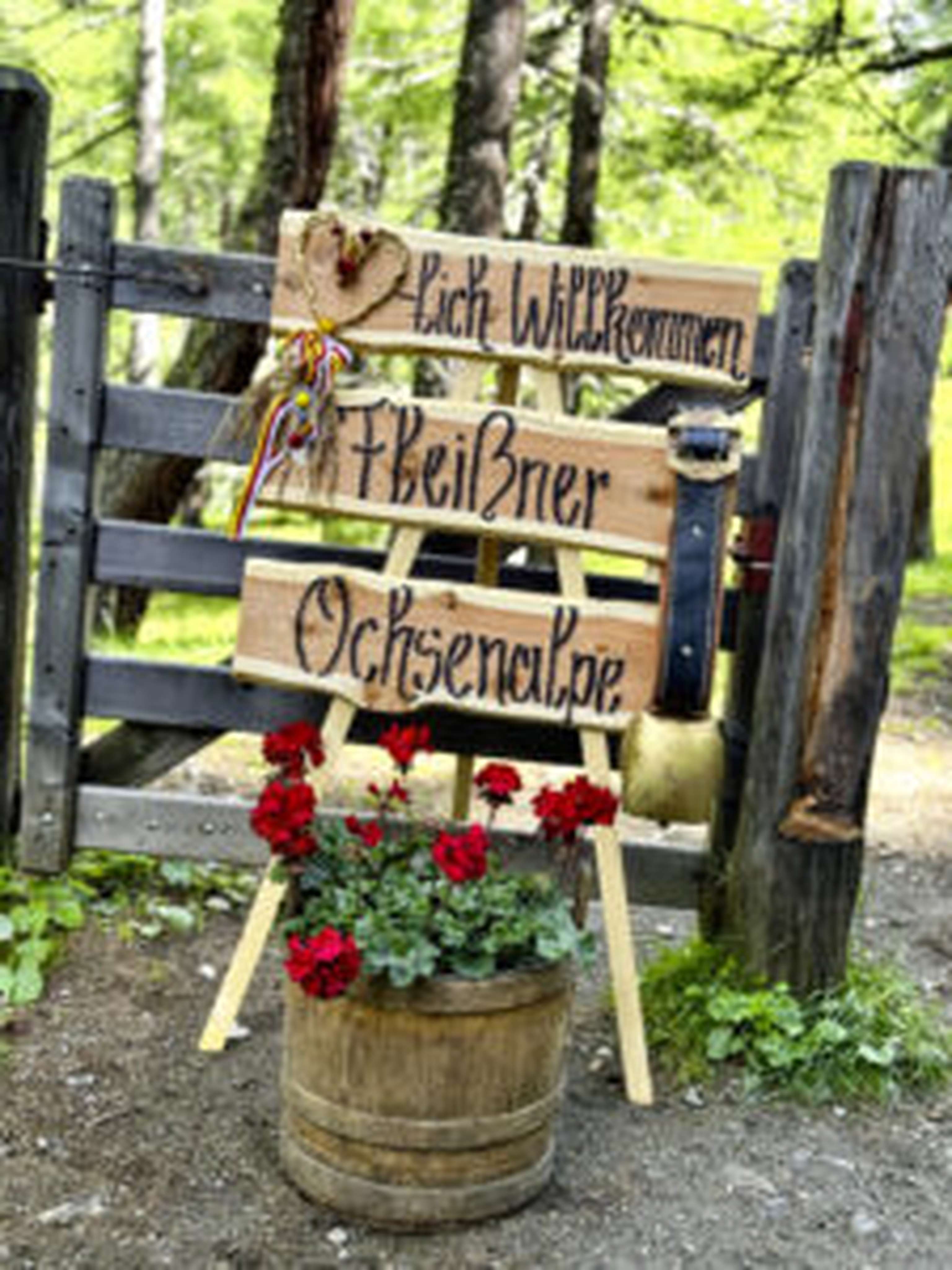 Auf 1.800 Meter Seehöhe zu Gast bei der Agrargemeinschaft Ochsenalpe