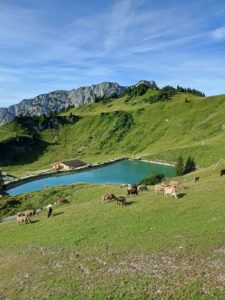 Die Höfener Alm am Reuttener Hahnenkamm liegt im Skigebiet.